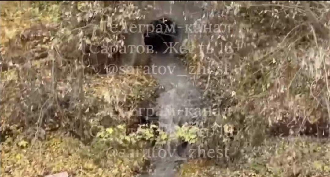 В Петровске обнаружили новый фекальный сброс в реку Медведицу В Петровске обнаружили новый фекальный сброс в реку Медведицу